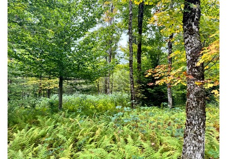 NY land for sale