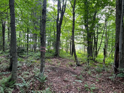 NY snowmobiling land for sale, land and snowmobile camps, ny properties, christmas associates