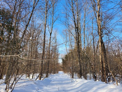 NY fishing land for sale