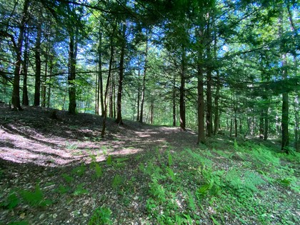 NY land for sale in Florence NY
