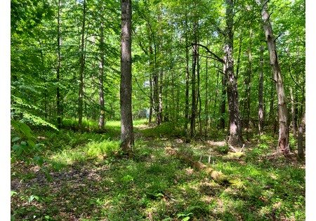 NY land and camps for sale