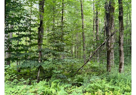 ny hunting camps for sale