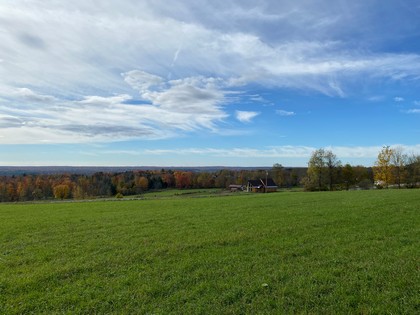 NY building lot for sale in Florence NY