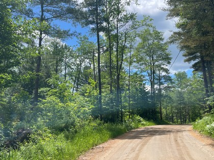 NY Adirondack hunting land for sale