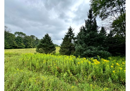 NY Finger Lakes property for sale