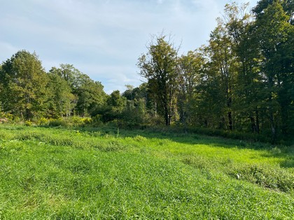 NY hunting land for sale McDonough NY