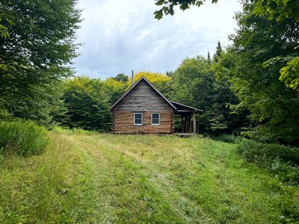 NY log cabin for sale