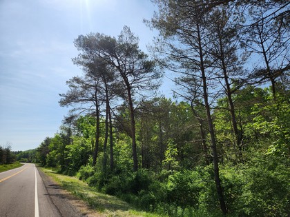 Finger Lakes NY land for sale