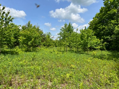 NY land for sale near Salmon River - Orwell, NY
