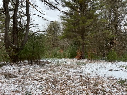 NY land for sale near Oneida Lake NY