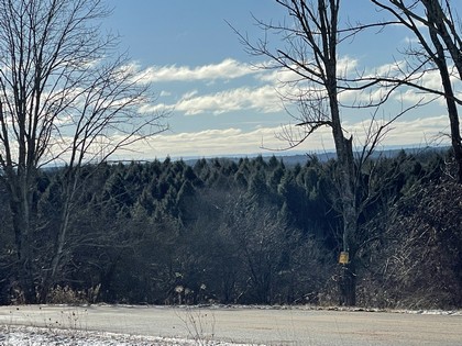 land for sale central NY