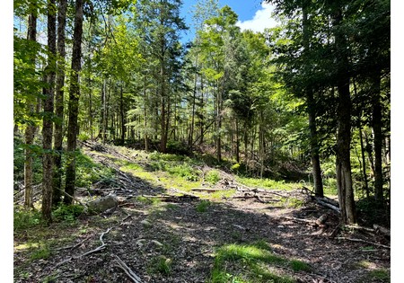 NY hunting land for sale
