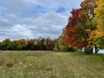 Catskills NY land for sale