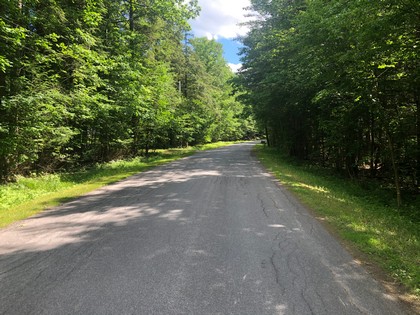 NY land for sale in Greene, NY