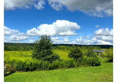 NY hunting camps for sale