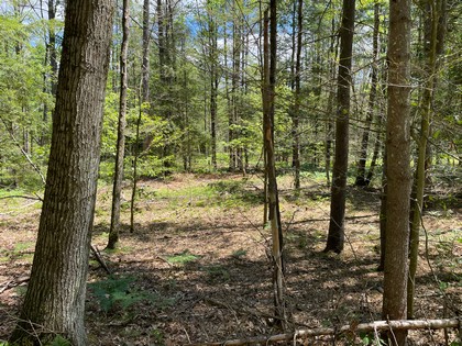 NY land for sale in Vienna NY