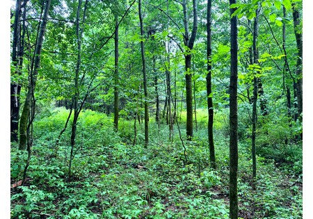 NY hunting land for sale
