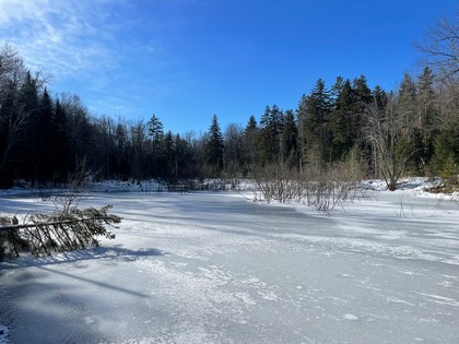 Adirondack land for sale