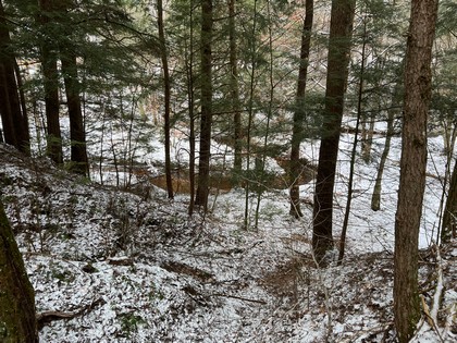 NY land for sale near Oneida Lake NY