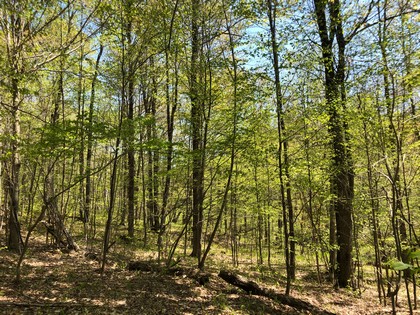 NY building lot for sale in Croghan near Adirondacks