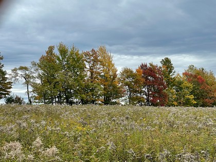 NY land for sale Catskills area