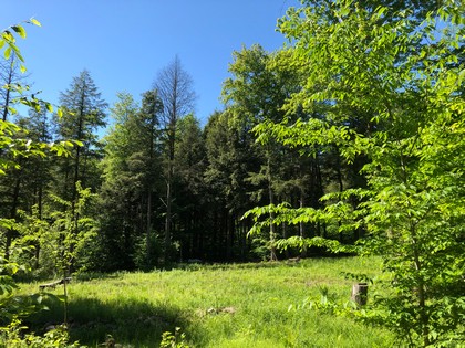 NY camp for sale in Camden NY