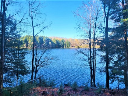 NY lakefront property for sale