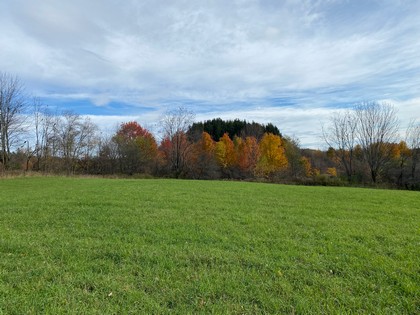 NY building lot for sale in Florence NY