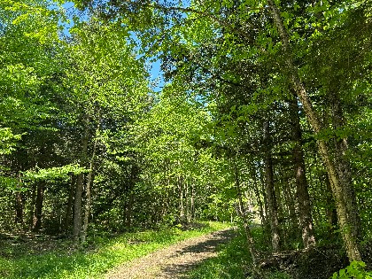 NY waterfront land for sale
