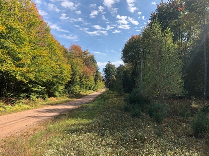 NY hunting land for sale Constanta NY