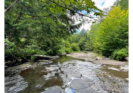 NY land for sale