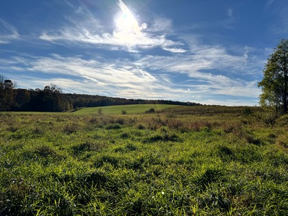 Chenango county NY land for sale