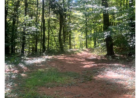 NY hunting land for sale