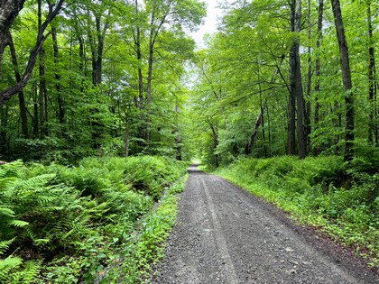 NY Southern Tier land for sale