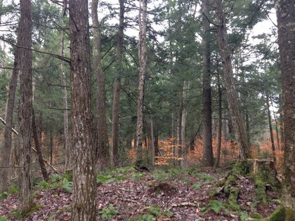 Adirondack land for sale NY