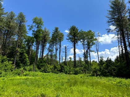 land for sale NY