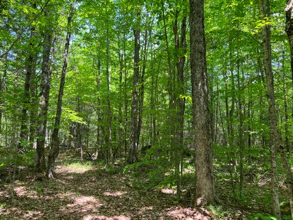 Adrondack hunting land for sale NY