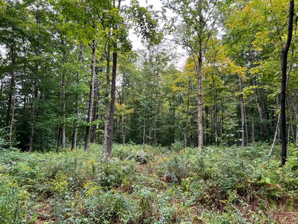 NY hunting land for sale