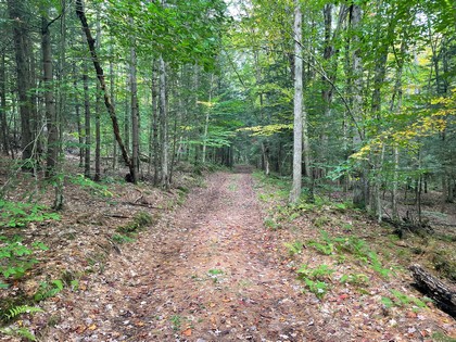 Oneida Lake Area - NY Land for Sale