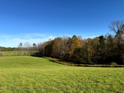 NY Southern Tier hunting land for sale