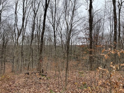 NY land and camp for sale