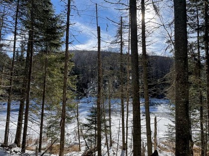 Adirondack land for sale