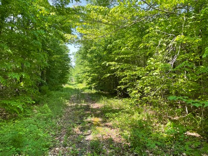 Adirondack NY land for sale