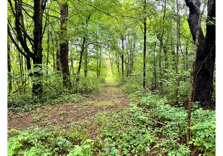NY hunting land for sale