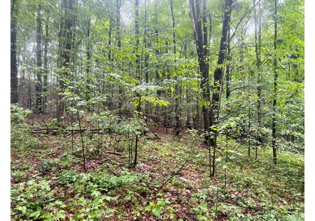 Finger Lakes NY land for sale