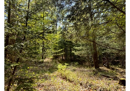 Land for sale in Tug Hill NY