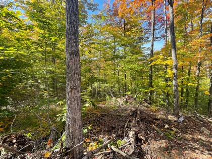 Adirondack land for sale