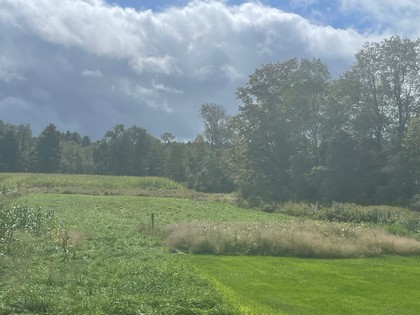 NY land for sale