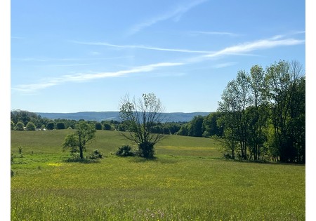 NY Southern Tier hunting land for sale
