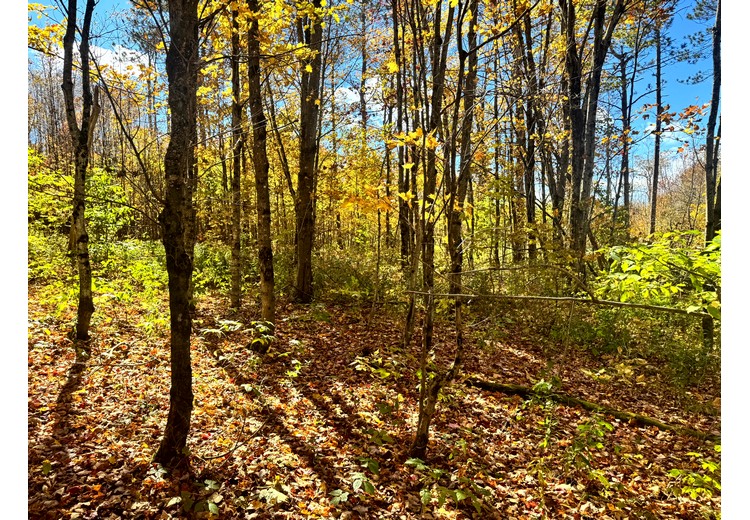 NY hunting camps for sale